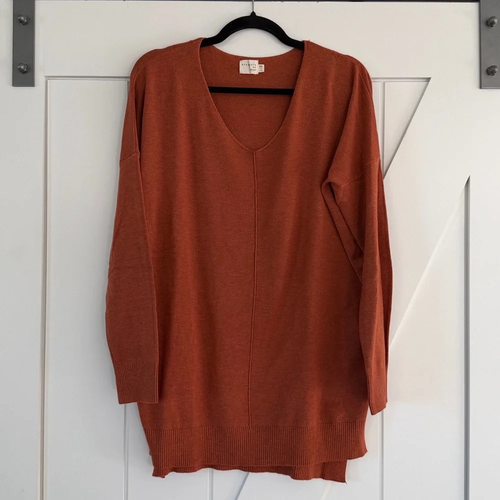 Dreamers by Debut Rust V Neck Front Seam Sweater